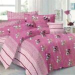 Bed Sheet with Pillow cover
